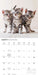 Kittens Cute 2027 Square Wall Calendar