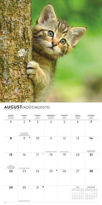Kittens Cute 2027 Square Wall Calendar