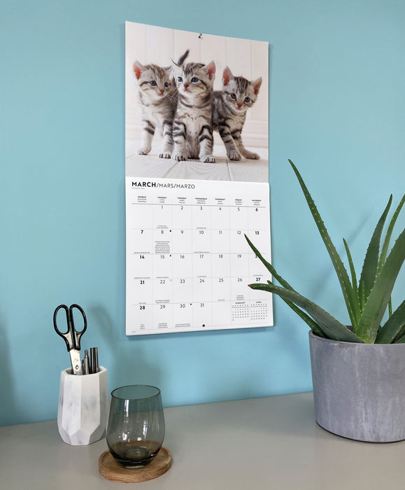 Kittens Cute 2027 Square Wall Calendar