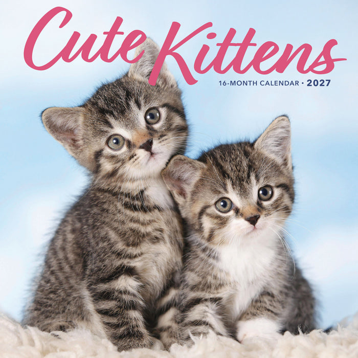 Kittens Cute 2027 Square Wall Calendar