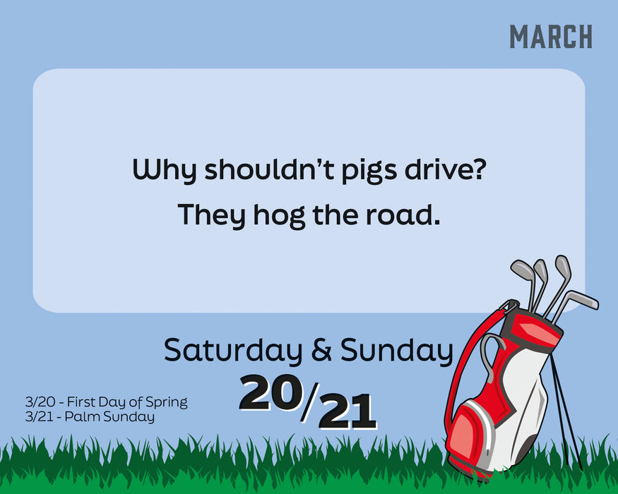 King of the Dad Jokes 2027 Page-A-Day Calendar