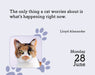 Cats 2027 Mini Page-A-Day Calendar