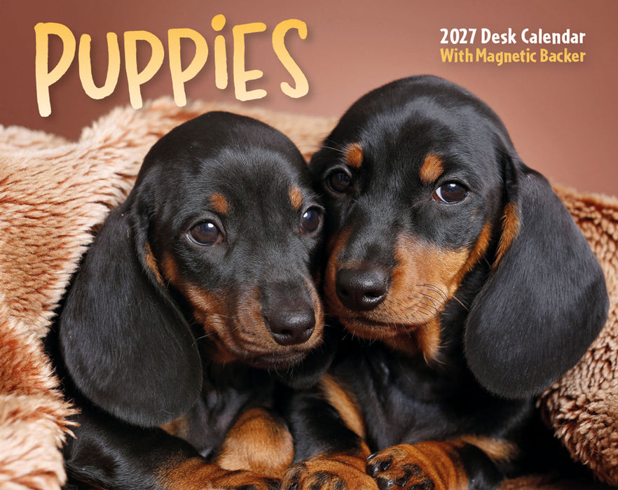 Puppies 2027 Mini Page-A-Day Calendar