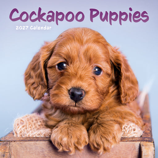Cockapoo Puppies 2027 Mini Wall Calendar