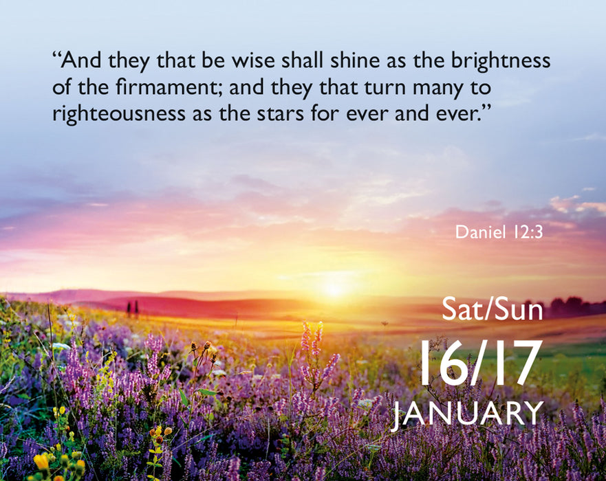 Bible Verse a Day 2027 Mini Page-A-Day Calendar