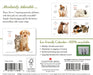 Kittens and Friends 2027 Page-A-Day Calendar