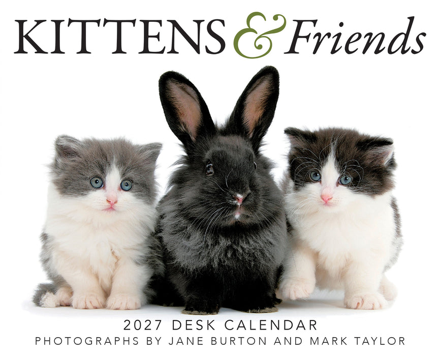 Kittens and Friends 2027 Page-A-Day Calendar