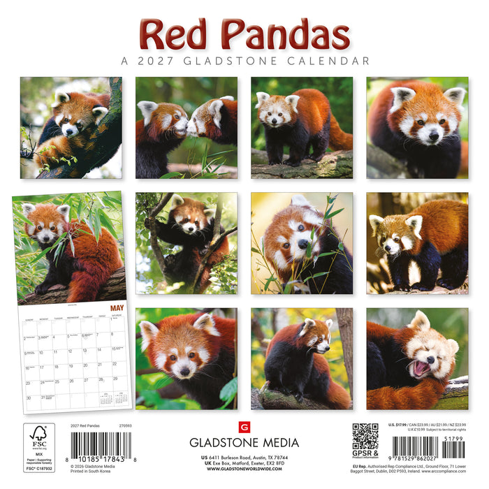 Red Pandas 2027 Square Wall Calendar
