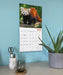 Red Pandas 2027 Square Wall Calendar