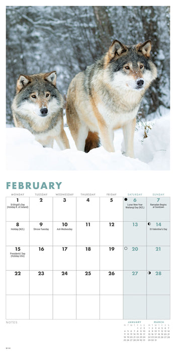 Wolves 2027 Mini Wall Calendar