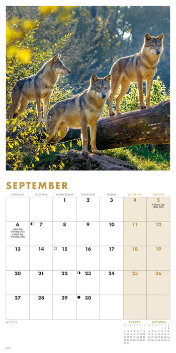Wolves 2027 Mini Wall Calendar