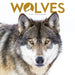 Wolves 2027 Mini Wall Calendar