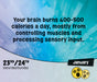 WTF Weird True Facts 2027 Page-A-Day Calendar