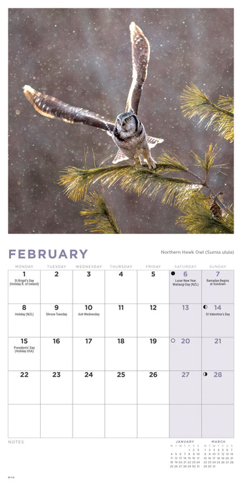 Owls 2027 Mini Wall Calendar