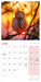 Owls 2027 Mini Wall Calendar