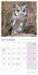 Owls 2027 Mini Wall Calendar