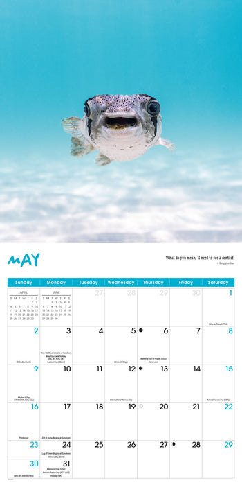 Comedy Wildlife Photography 2027 Square Wall Calendar