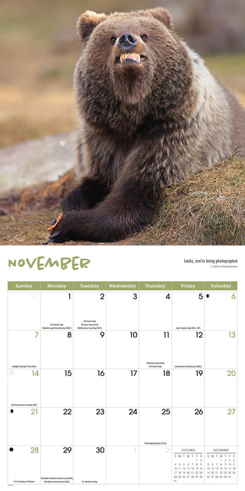 Comedy Wildlife Photography 2027 Square Wall Calendar