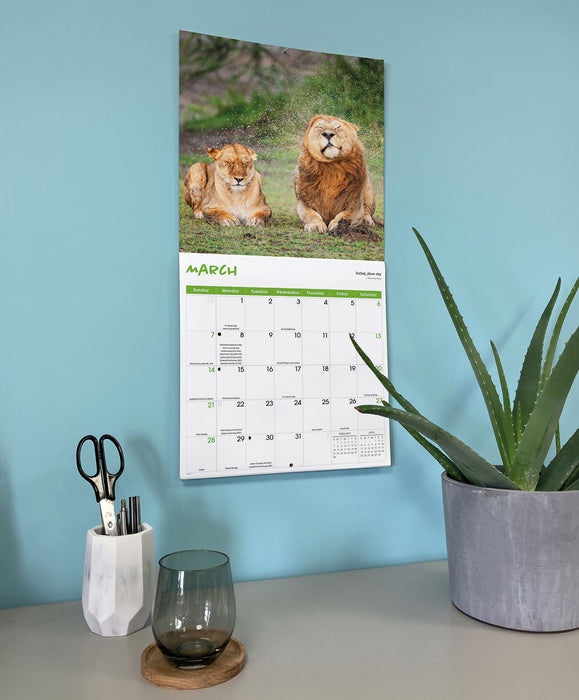 Comedy Wildlife Photography 2027 Square Wall Calendar