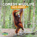 Comedy Wildlife Photography 2027 Square Wall Calendar