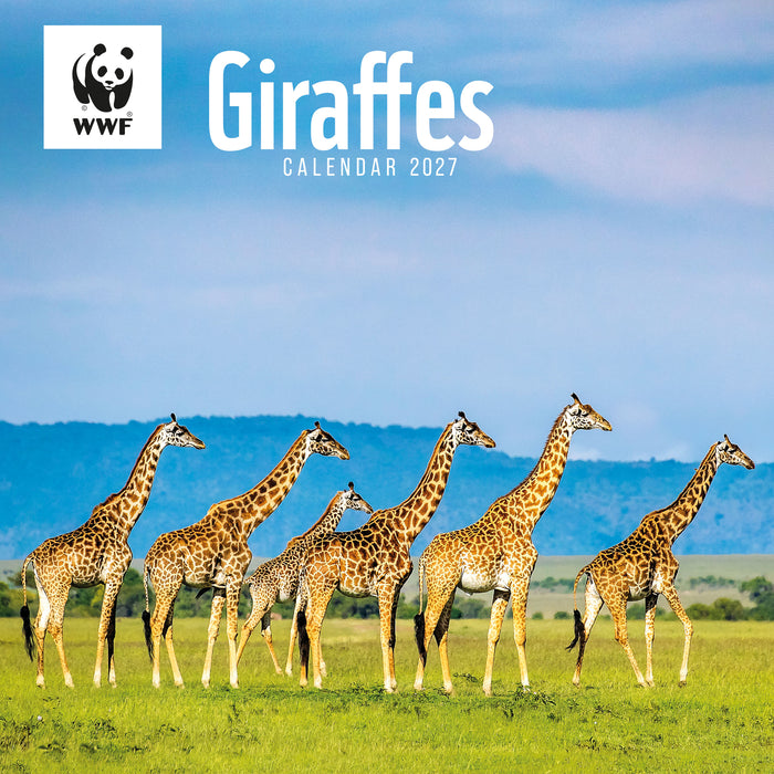 WWF Giraffes 2027 Square Wall Calendar