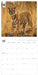 WWF Big Cats 2027 Square Wall Calendar