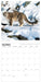 WWF Big Cats 2027 Square Wall Calendar