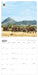 WWF Elephants 2027 Square Wall Calendar