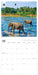 WWF Elephants 2027 Square Wall Calendar