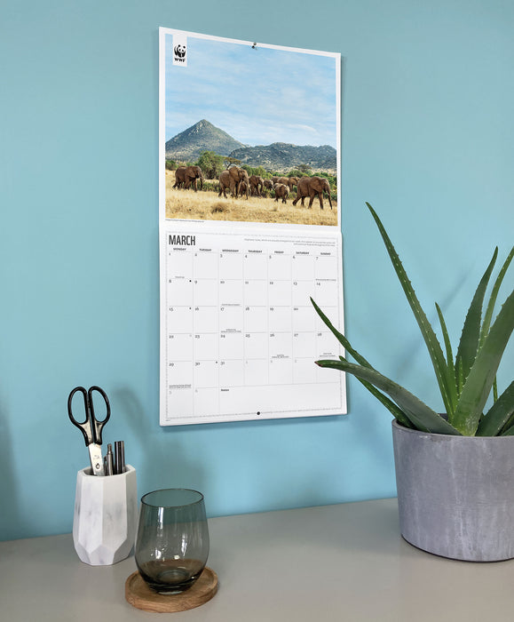 WWF Elephants 2027 Square Wall Calendar