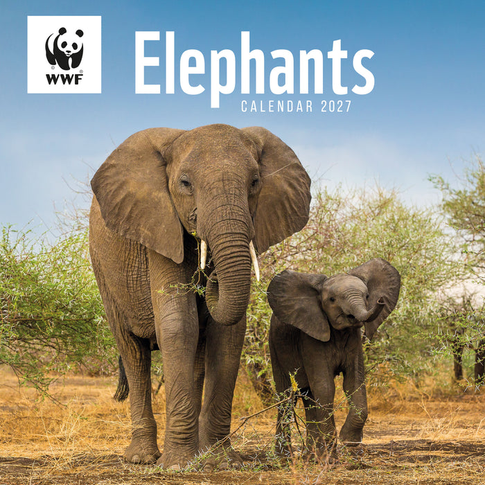 WWF Elephants 2027 Square Wall Calendar