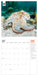 WWF Oceans 2027 Square Wall Calendar