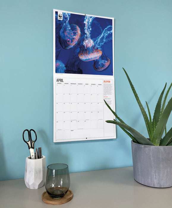 WWF Oceans 2027 Square Wall Calendar