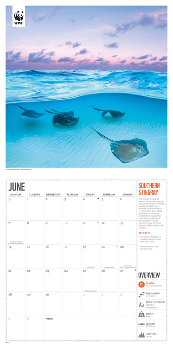 WWF Amazing Wildlife 2027 Square Wall Calendar