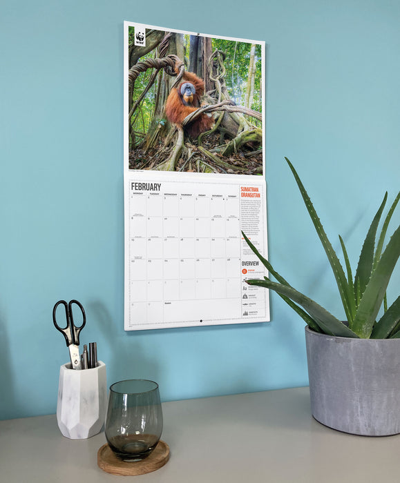 WWF Amazing Wildlife 2027 Square Wall Calendar