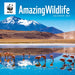 WWF Amazing Wildlife 2027 Square Wall Calendar