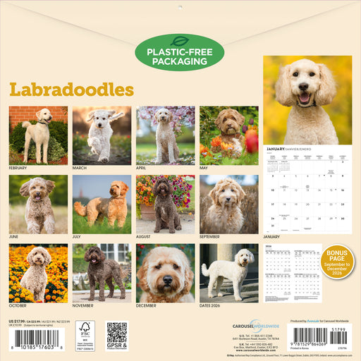 Labradoodles 2027 Square Wall Calendar
