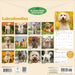 Labradoodles 2027 Square Wall Calendar