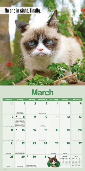 Grumpy Cat 2027 Mini Wall Calendar