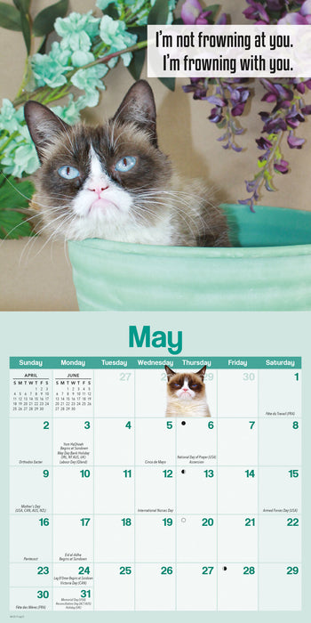 Grumpy Cat 2027 Mini Wall Calendar