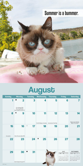 Grumpy Cat 2027 Mini Wall Calendar