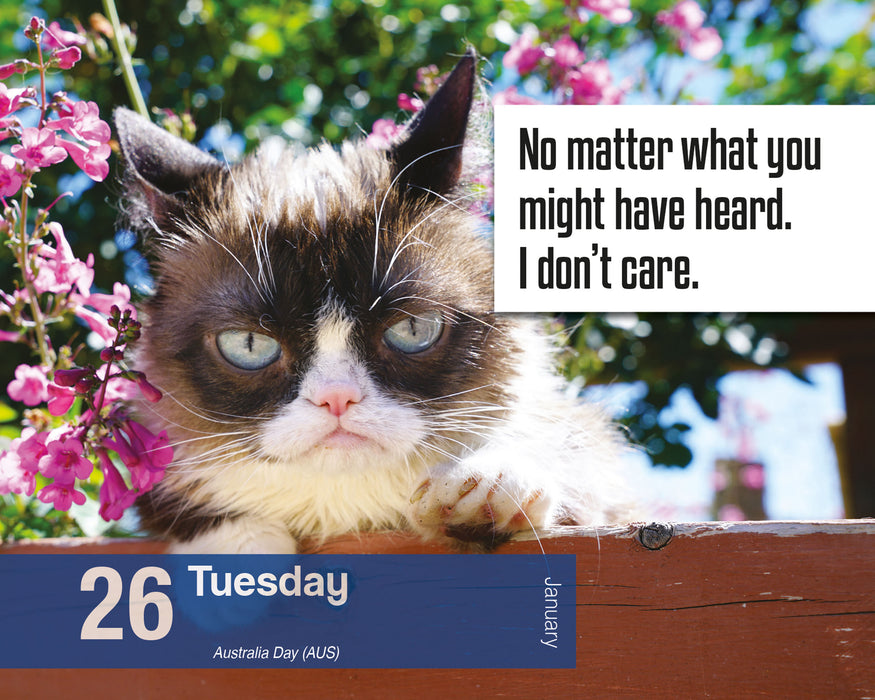 Grumpy Cat 2027 Page-A-Day Calendar