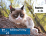 Grumpy Cat 2027 Page-A-Day Calendar