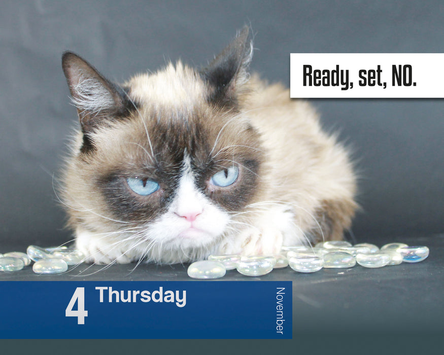 Grumpy Cat 2027 Page-A-Day Calendar