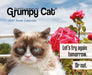 Grumpy Cat 2027 Page-A-Day Calendar