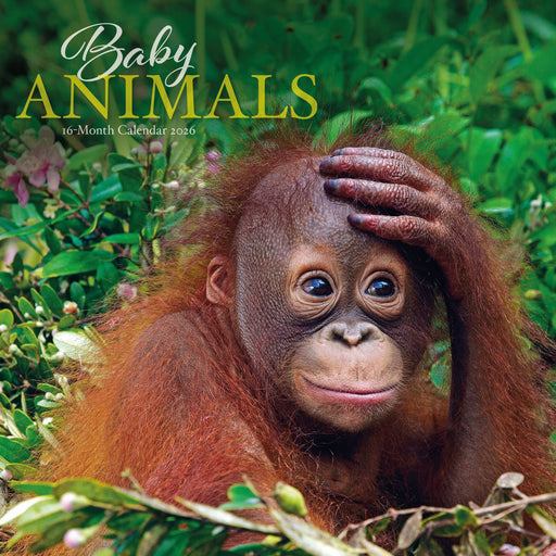Baby Animals 2026 Square Wall Calendar
