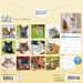 Cats 2026 Square Wall Calendar