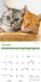 Cats 2026 Square Wall Calendar