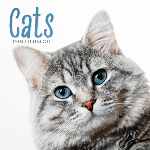Cats 2026 Square Wall Calendar