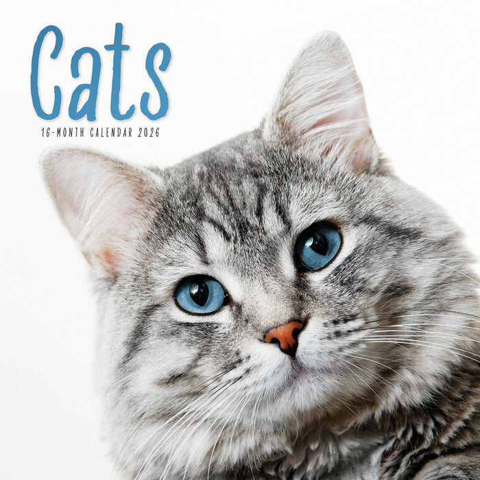 Cats 2026 Square Wall Calendar